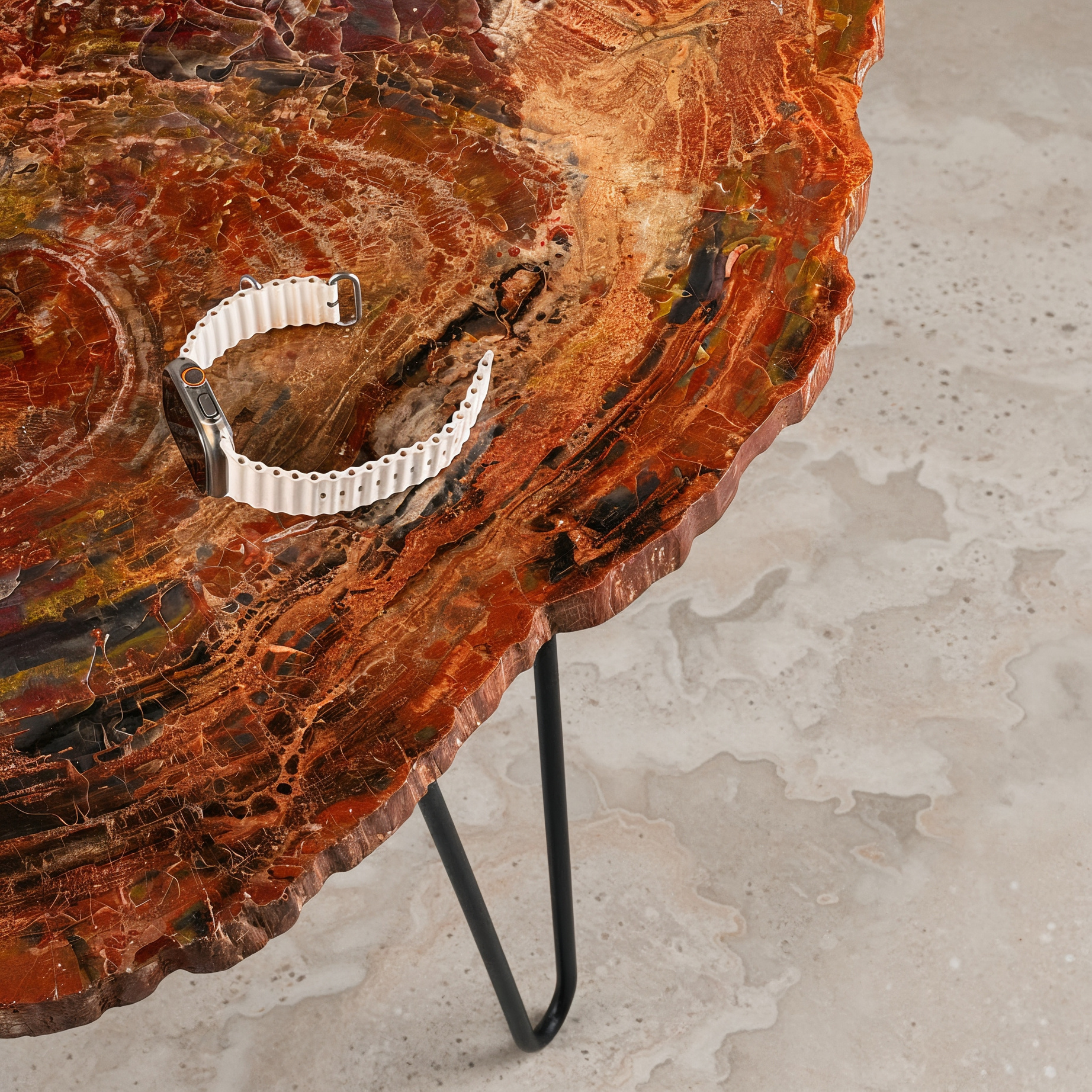Petrified wood detail